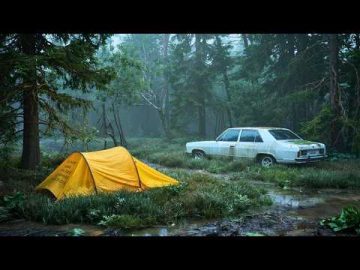 Recommended for everyone looking for real emotions! Students lost in a dangerous forest | Best Movie