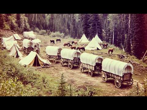 A Film That Touched the Whole World! Incredible Survival of Children in the Wild Lands | Full Movie