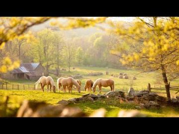 A Movie You’ll Want to Rewatch! Inspiring Family Drama | Watch Full  in English